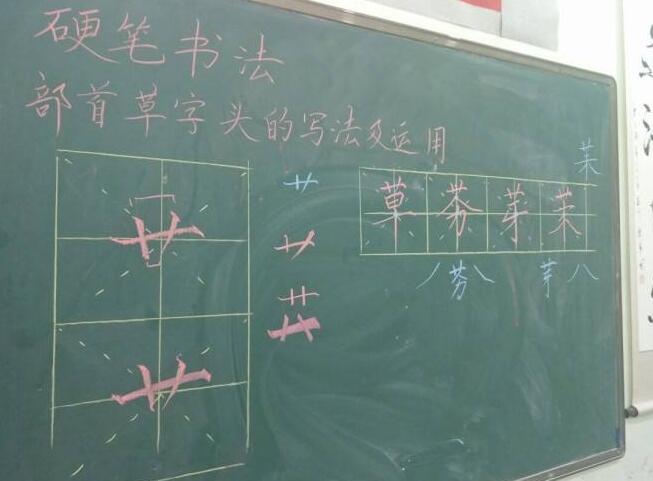 草字头的字都有哪些