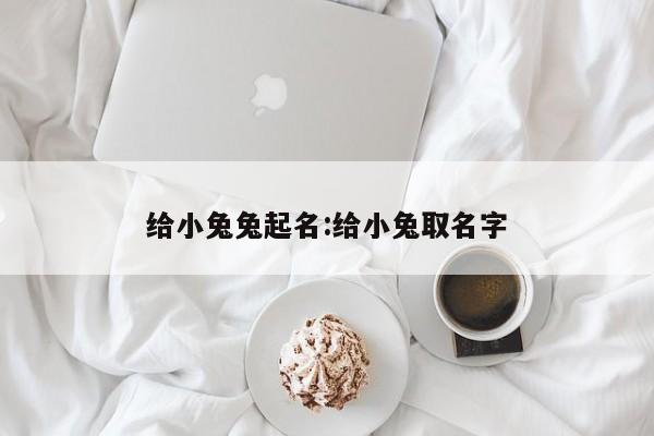 给小兔兔起名:给小兔取名字