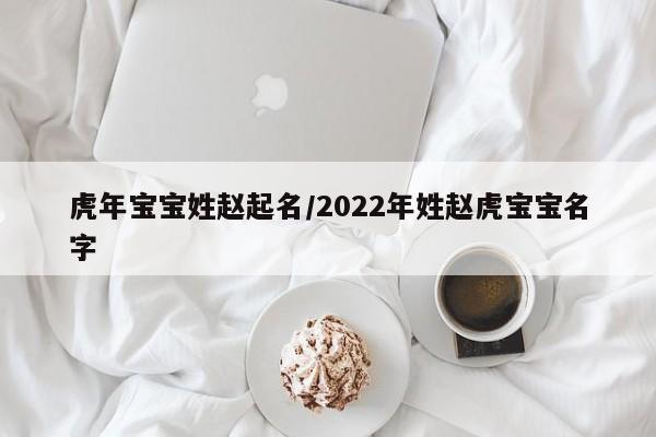 虎年宝宝姓赵起名/2022年姓赵虎宝宝名字